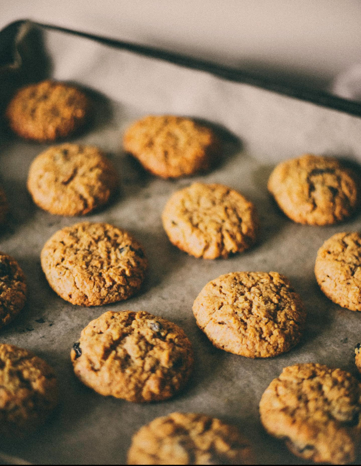 Oatmeal Raisin Cookie Mix